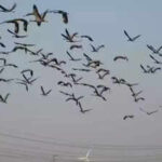 image used for representational purpose only https://jaipur.visitinrajasthan.com/wp-content/uploads/2023/10/cropped-cropped-R-2.png