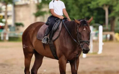 msid 123679758imgsize 46024.cms https://jaipur.visitinrajasthan.com/wp-content/uploads/2023/10/cropped-cropped-R-2.png