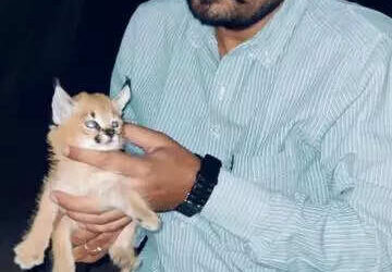 msid 123706142imgsize 26232.cms https://jaipur.visitinrajasthan.com/wp-content/uploads/2023/10/cropped-cropped-R-2.png