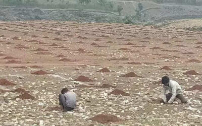 msid 123873372imgsize 68058.cms https://jaipur.visitinrajasthan.com/wp-content/uploads/2023/10/cropped-cropped-R-2.png