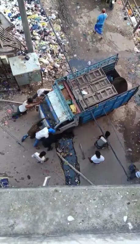 msid 123887166imgsize 56014.cms https://jaipur.visitinrajasthan.com/wp-content/uploads/2023/10/cropped-cropped-R-2.png