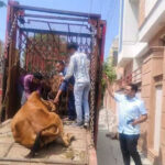 msid 123887170imgsize 51940.cms https://jaipur.visitinrajasthan.com/wp-content/uploads/2023/10/cropped-cropped-R-2.png