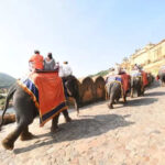 msid 123954179imgsize 48976.cms https://jaipur.visitinrajasthan.com/wp-content/uploads/2023/10/cropped-cropped-R-2.png