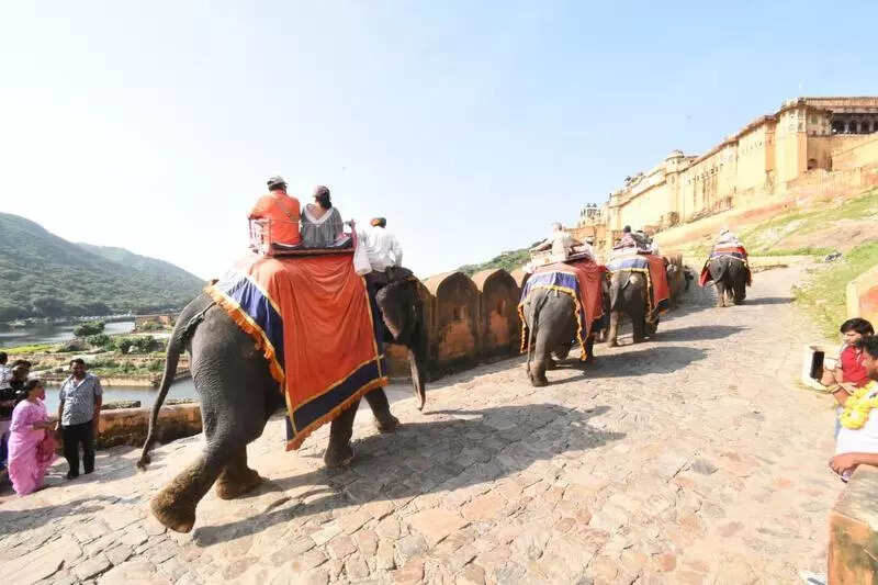 msid 123954179imgsize 48976.cms https://jaipur.visitinrajasthan.com/wp-content/uploads/2023/10/cropped-cropped-R-2.png