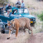 msid 124020753imgsize 57834.cms https://jaipur.visitinrajasthan.com/wp-content/uploads/2023/10/cropped-cropped-R-2.png