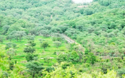 msid 124020771imgsize 116460.cms https://jaipur.visitinrajasthan.com/wp-content/uploads/2023/10/cropped-cropped-R-2.png