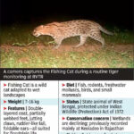 msid 124056078imgsize 71052.cms https://jaipur.visitinrajasthan.com/wp-content/uploads/2023/10/cropped-cropped-R-2.png