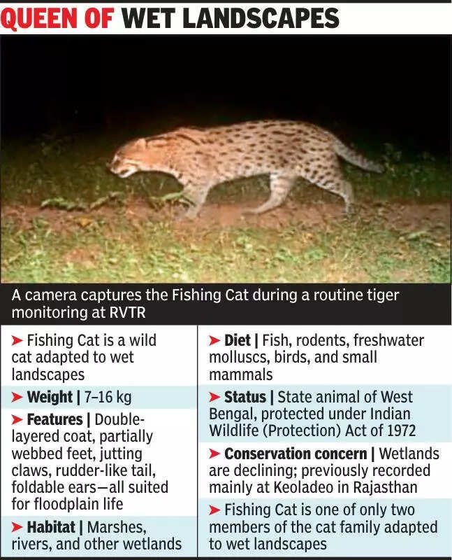 msid 124056078imgsize 71052.cms https://jaipur.visitinrajasthan.com/wp-content/uploads/2023/10/cropped-cropped-R-2.png