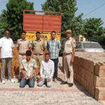 msid 124077853imgsize 73486.cms https://jaipur.visitinrajasthan.com/wp-content/uploads/2023/10/cropped-cropped-R-2.png