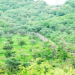 msid 124099398imgsize 116460.cms https://jaipur.visitinrajasthan.com/wp-content/uploads/2023/10/cropped-cropped-R-2.png