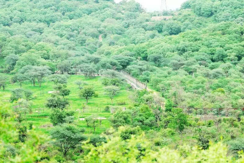 msid 124099398imgsize 116460.cms https://jaipur.visitinrajasthan.com/wp-content/uploads/2023/10/cropped-cropped-R-2.png