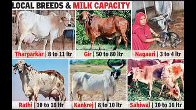 moo ving forward how cow scienceis transforming rajs rural landscape https://jaipur.visitinrajasthan.com/wp-content/uploads/2023/10/cropped-cropped-R-2.png