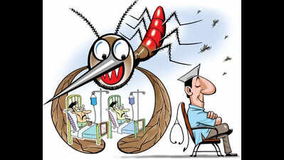 mosquito borne diseases increase after monsoon in state https://jaipur.visitinrajasthan.com/wp-content/uploads/2023/10/cropped-cropped-R-2.png
