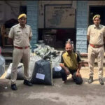 msid 124348072imgsize 47112.cms https://jaipur.visitinrajasthan.com/wp-content/uploads/2023/10/cropped-cropped-R-2.png