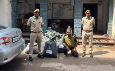 msid 124348072imgsize 47112.cms https://jaipur.visitinrajasthan.com/wp-content/uploads/2023/10/cropped-cropped-R-2.png