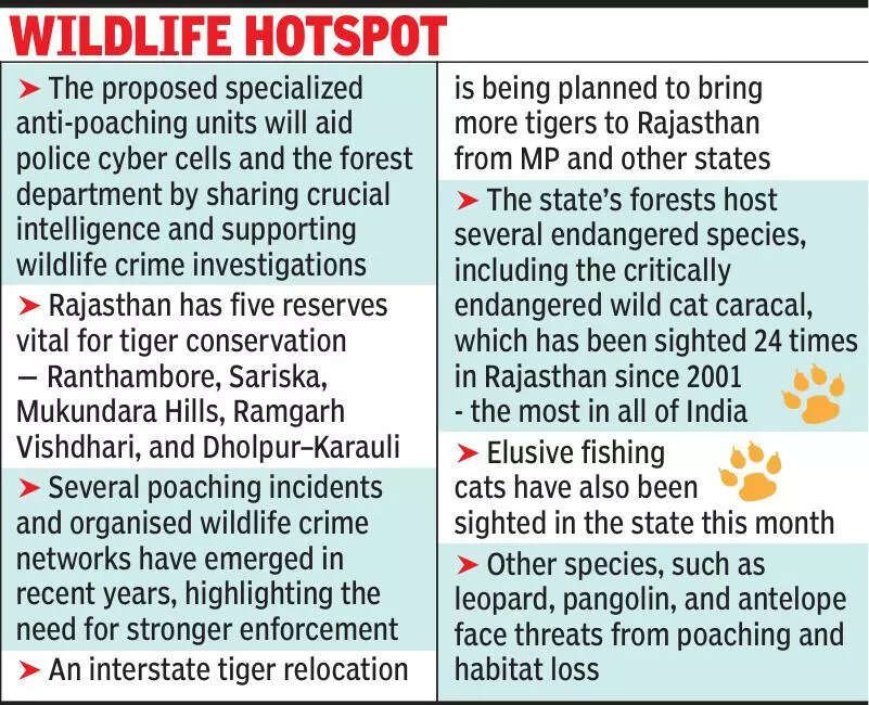 msid 124348102imgsize 91364.cms https://jaipur.visitinrajasthan.com/wp-content/uploads/2023/10/cropped-cropped-R-2.png