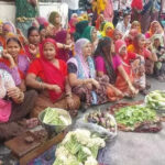 msid 124348105imgsize 89364.cms https://jaipur.visitinrajasthan.com/wp-content/uploads/2023/10/cropped-cropped-R-2.png