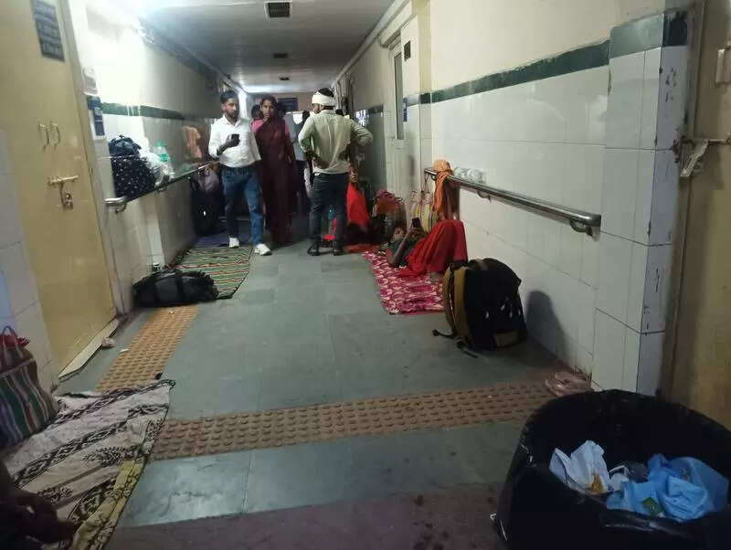 msid 124396943imgsize 37740.cms https://jaipur.visitinrajasthan.com/wp-content/uploads/2023/10/cropped-cropped-R-2.png