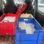 msid 124434916imgsize 38450.cms https://jaipur.visitinrajasthan.com/wp-content/uploads/2023/10/cropped-cropped-R-2.png