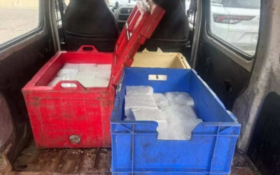 msid 124434916imgsize 38450.cms https://jaipur.visitinrajasthan.com/wp-content/uploads/2023/10/cropped-cropped-R-2.png