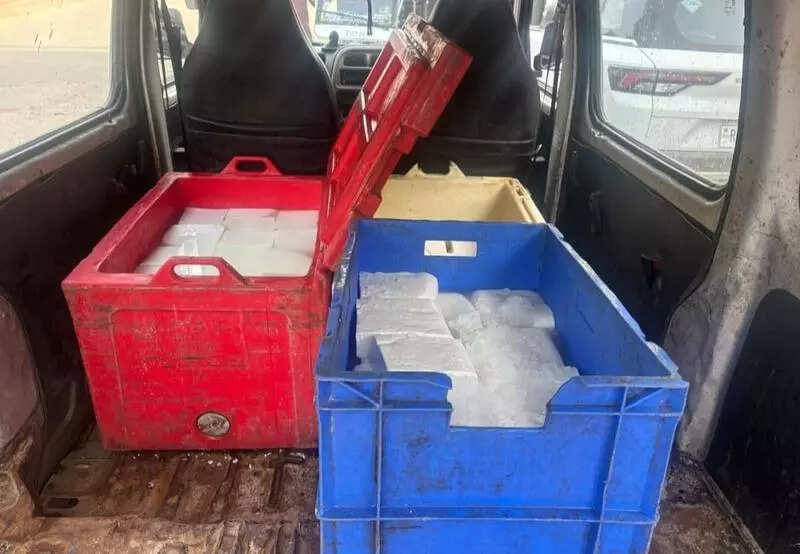 msid 124434916imgsize 38450.cms https://jaipur.visitinrajasthan.com/wp-content/uploads/2023/10/cropped-cropped-R-2.png