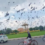 msid 124438374imgsize 73540.cms https://jaipur.visitinrajasthan.com/wp-content/uploads/2023/10/cropped-cropped-R-2.png