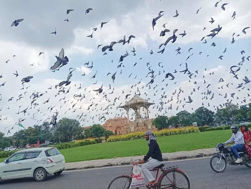 msid 124438374imgsize 73540.cms https://jaipur.visitinrajasthan.com/wp-content/uploads/2023/10/cropped-cropped-R-2.png