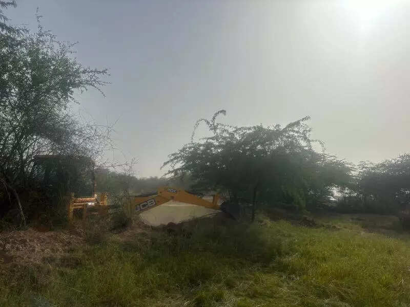 msid 124511443imgsize 42898.cms https://jaipur.visitinrajasthan.com/wp-content/uploads/2023/10/cropped-cropped-R-2.png