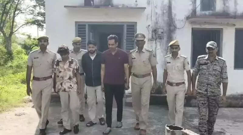 msid 124511494imgsize 33646.cms https://jaipur.visitinrajasthan.com/wp-content/uploads/2023/10/cropped-cropped-R-2.png