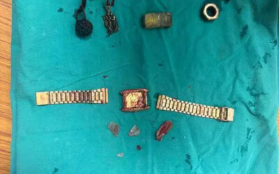 msid 124537145imgsize 53830.cms https://jaipur.visitinrajasthan.com/wp-content/uploads/2023/10/cropped-cropped-R-2.png