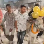 msid 124747606imgsize 22610.cms https://jaipur.visitinrajasthan.com/wp-content/uploads/2023/10/cropped-cropped-R-2.png