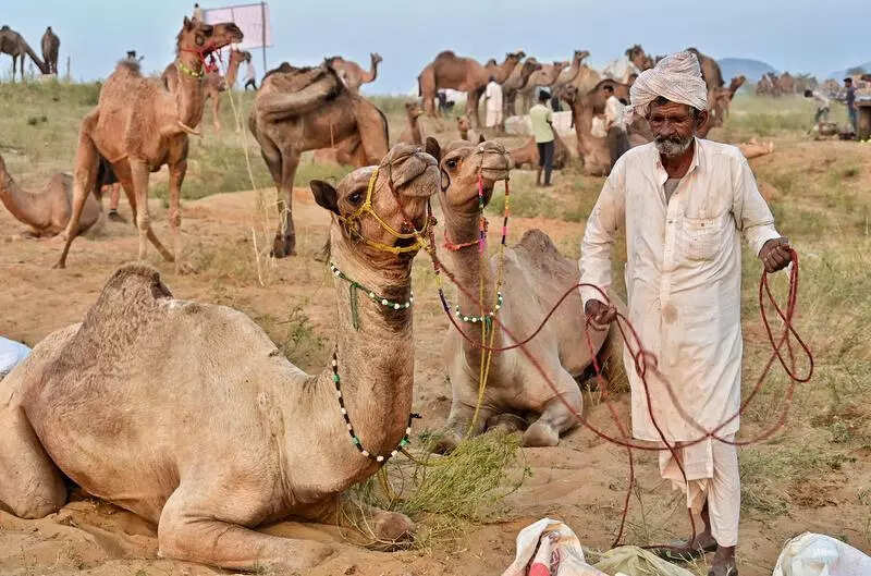 msid 124793792imgsize 74630.cms https://jaipur.visitinrajasthan.com/wp-content/uploads/2023/10/cropped-cropped-R-2.png