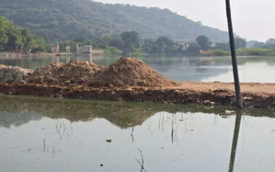 msid 124834394imgsize 47994.cms https://jaipur.visitinrajasthan.com/wp-content/uploads/2023/10/cropped-cropped-R-2.png