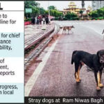 msid 124857606imgsize 67194.cms https://jaipur.visitinrajasthan.com/wp-content/uploads/2023/10/cropped-cropped-R-2.png