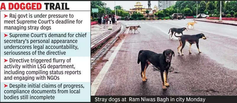 msid 124857606imgsize 67194.cms https://jaipur.visitinrajasthan.com/wp-content/uploads/2023/10/cropped-cropped-R-2.png