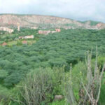 msid 124857986imgsize 73576.cms https://jaipur.visitinrajasthan.com/wp-content/uploads/2023/10/cropped-cropped-R-2.png