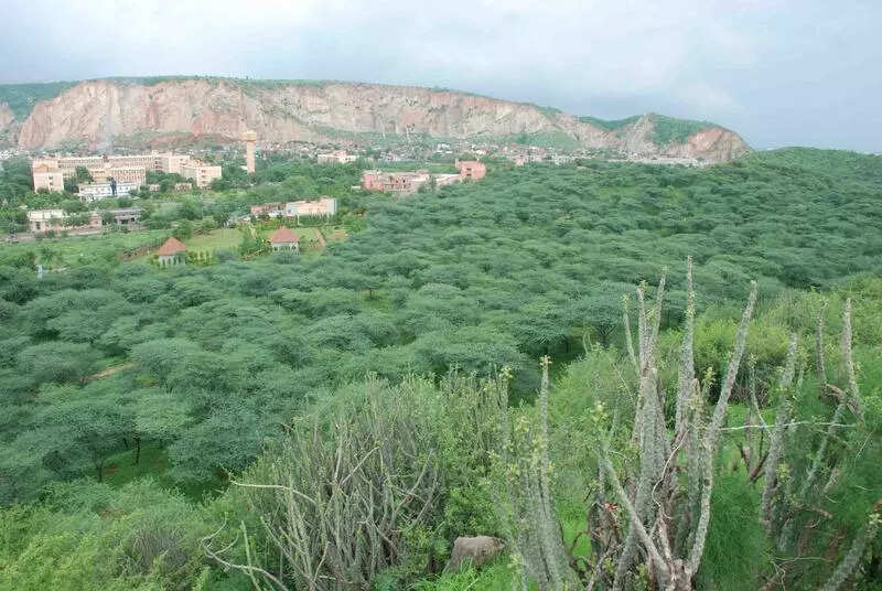 msid 124857986imgsize 73576.cms https://jaipur.visitinrajasthan.com/wp-content/uploads/2023/10/cropped-cropped-R-2.png