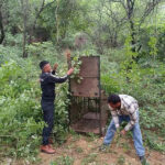 msid 124858070imgsize 174850.cms https://jaipur.visitinrajasthan.com/wp-content/uploads/2023/10/cropped-cropped-R-2.png