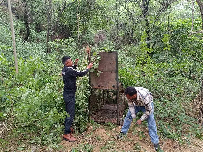 msid 124858070imgsize 174850.cms https://jaipur.visitinrajasthan.com/wp-content/uploads/2023/10/cropped-cropped-R-2.png