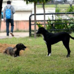 msid 124881400imgsize 82854.cms https://jaipur.visitinrajasthan.com/wp-content/uploads/2023/10/cropped-cropped-R-2.png