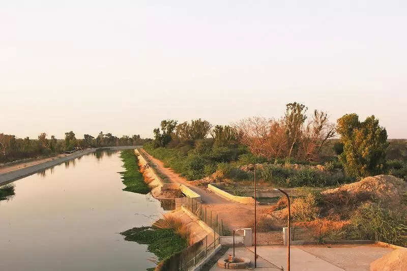 msid 124917916imgsize 44664.cms https://jaipur.visitinrajasthan.com/wp-content/uploads/2023/10/cropped-cropped-R-2.png