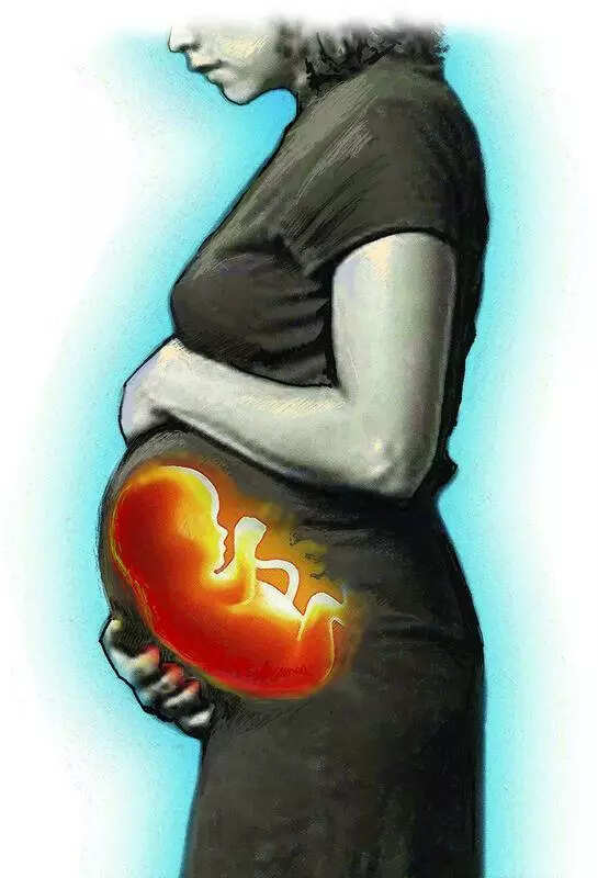 msid 124919088imgsize 31408.cms https://jaipur.visitinrajasthan.com/wp-content/uploads/2023/10/cropped-cropped-R-2.png