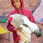 msid 124965900imgsize 41274.cms https://jaipur.visitinrajasthan.com/wp-content/uploads/2023/10/cropped-cropped-R-2.png