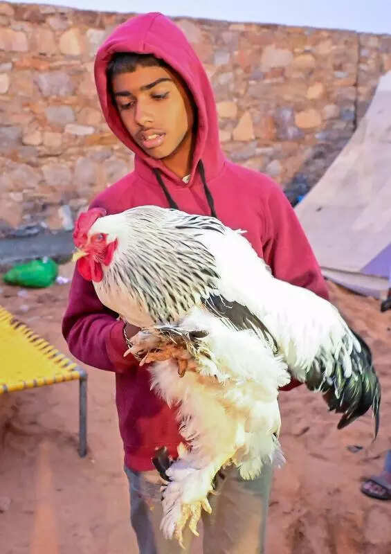 msid 124965900imgsize 41274.cms https://jaipur.visitinrajasthan.com/wp-content/uploads/2023/10/cropped-cropped-R-2.png