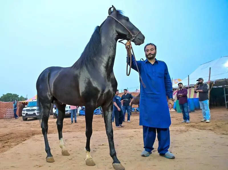 msid 124966145imgsize 40466.cms https://jaipur.visitinrajasthan.com/wp-content/uploads/2023/10/cropped-cropped-R-2.png