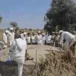 raj woman dies by suicide after drowning 3 kids in water tank https://jaipur.visitinrajasthan.com/wp-content/uploads/2023/10/cropped-cropped-R-2.png