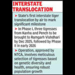 in a first raj to airlift tigress from pench in mp to ramgarh vishdhari https://jaipur.visitinrajasthan.com/wp-content/uploads/2023/10/cropped-cropped-R-2.png