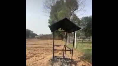 man widow criticalafter being set on firein dudu 2 detained https://jaipur.visitinrajasthan.com/wp-content/uploads/2023/10/cropped-cropped-R-2.png