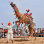 msid 125003476imgsize 75474.cms https://jaipur.visitinrajasthan.com/wp-content/uploads/2023/10/cropped-cropped-R-2.png