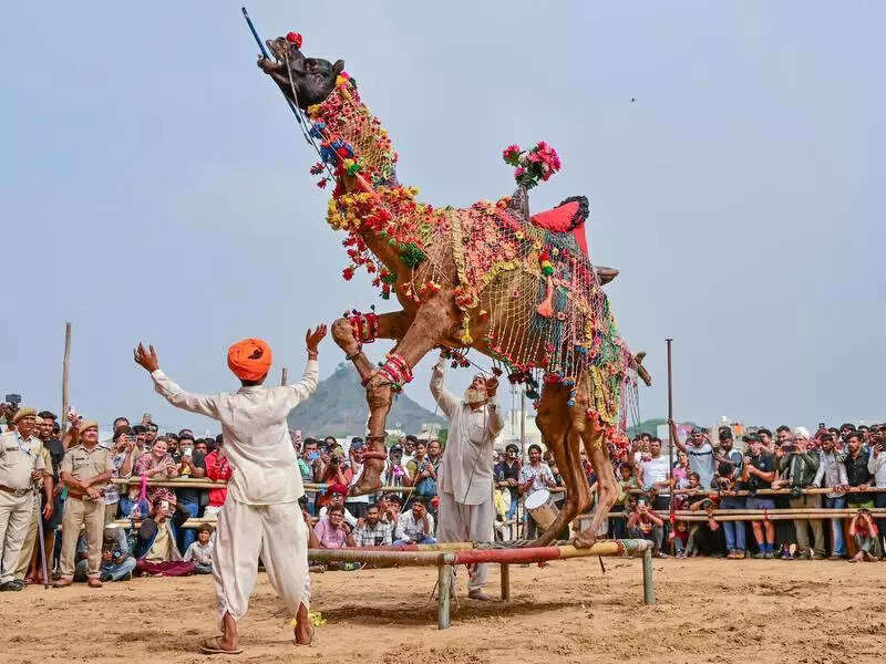 msid 125003476imgsize 75474.cms https://jaipur.visitinrajasthan.com/wp-content/uploads/2023/10/cropped-cropped-R-2.png